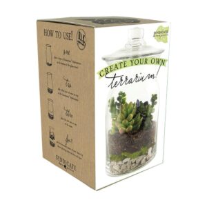 Syndicate Terrarium Kit