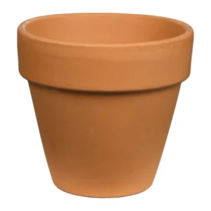 Terra Cotta Pot 4.3"