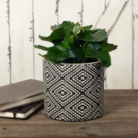 Aztec Planter