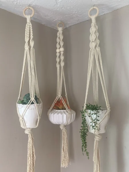macrame-plant-hangers-geist-nursery