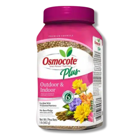 Fertilizer - Osmocote Plus Outdoor