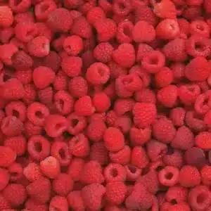 Berry - Raspberry "Heritage" 1 gal