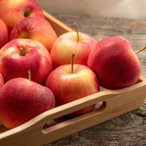 Fruit Tree - Apple "Gala" 3 gal