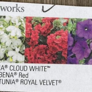 Hanging Basket Proven Winner - FIREWORKS