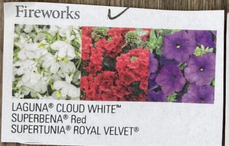 Hanging Basket Proven Winner - FIREWORKS