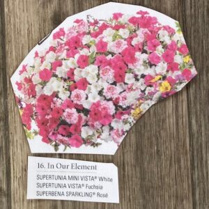 Hanging Basket Proven Winner - IN OUR ELEMENT