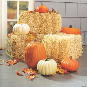STRAW BALE - Regular or Mini
