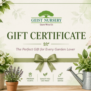 Gift Certificate